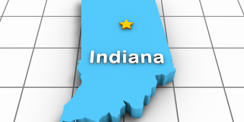 Indiana Business Entity Search