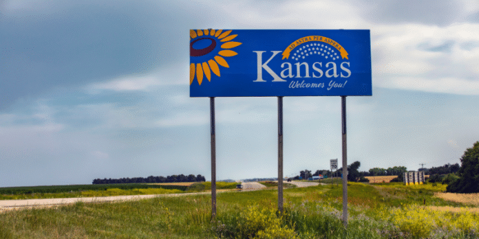 Kansas Business Entity Search