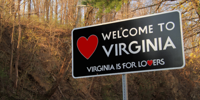Virginia Business Entity Search