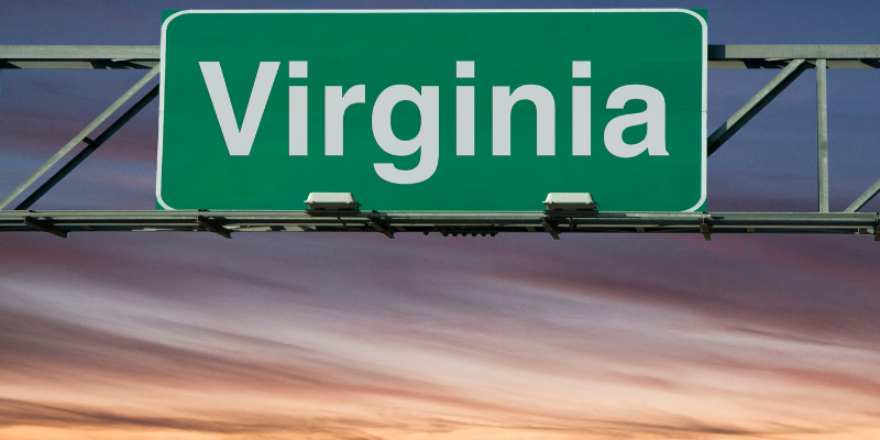 Virginia Business Entity Search