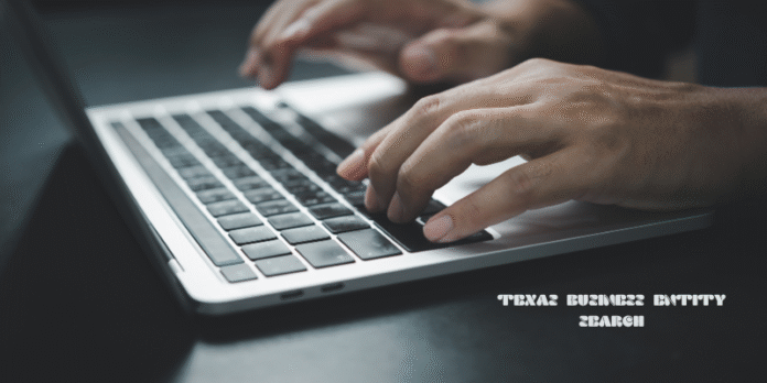 texas business entity search