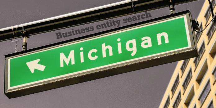 Michigan Business Entity Search