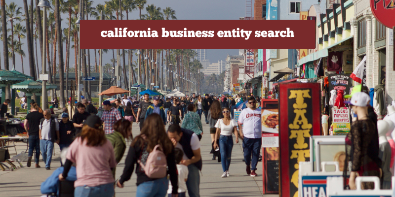 California Business Entity Search