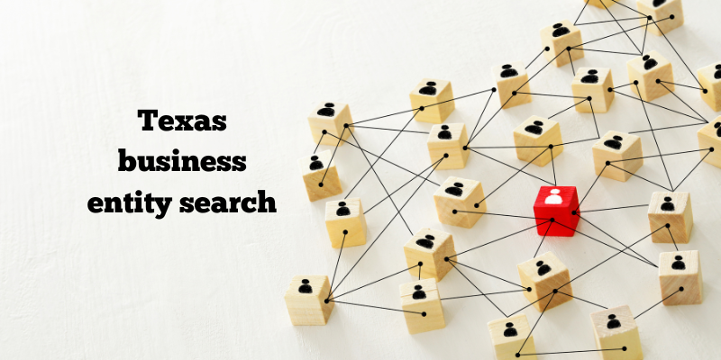 texas business entity search

