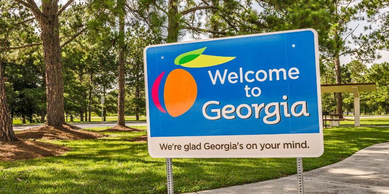 georgia business entity search