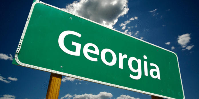 georgia business entity search