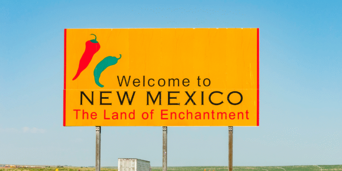 new mexico business entity search​