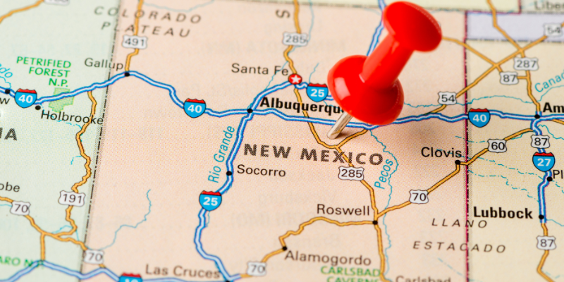 new mexico business entity search​


