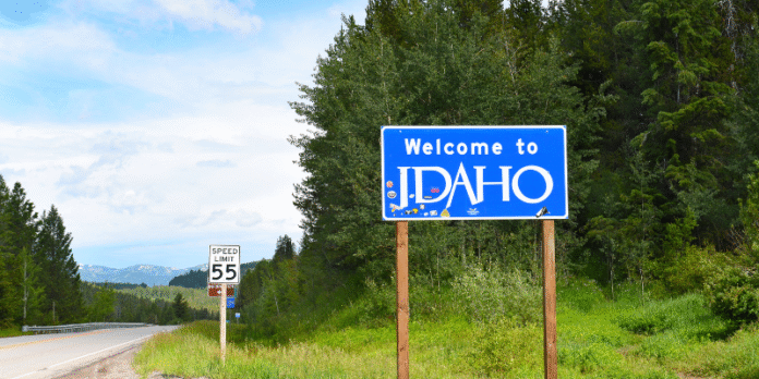 idaho business entity search