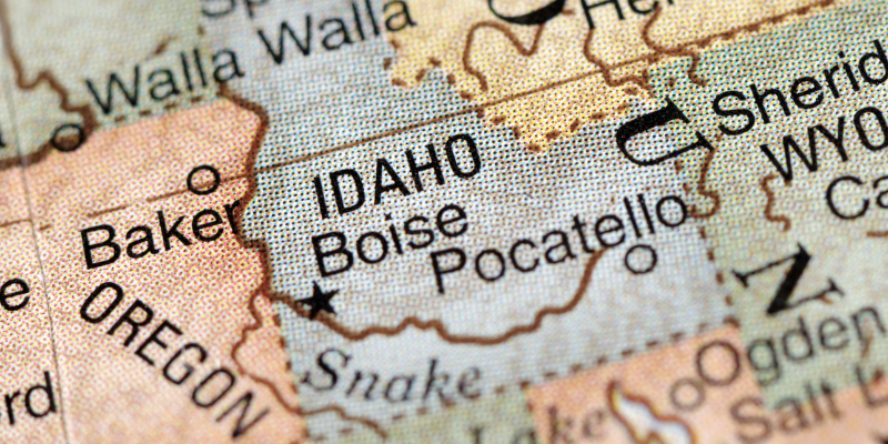 idaho business entity search


