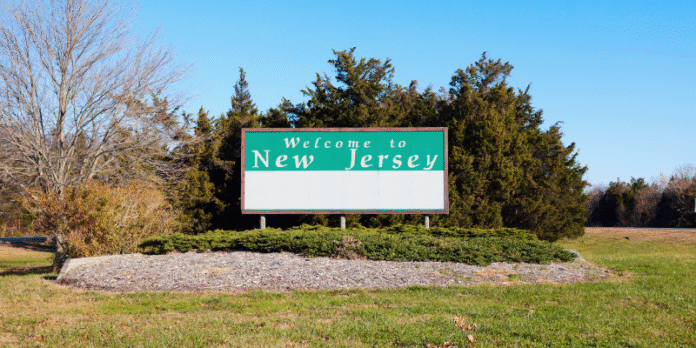 new jersey business entity search