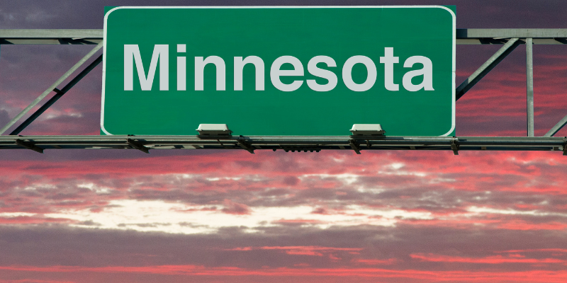 minnesota business entity search

