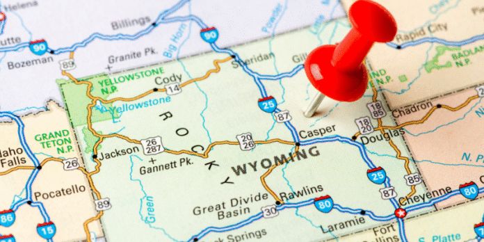 Wyoming Business Entity Search