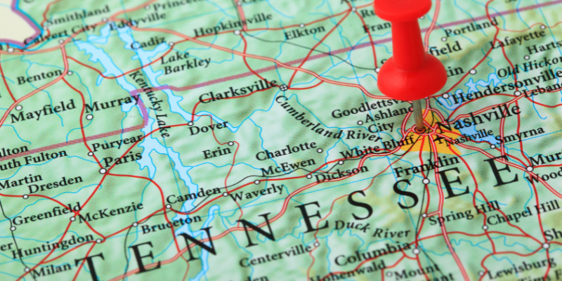 tennessee business entity search

