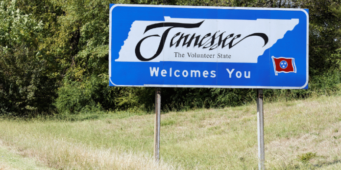 tennessee business entity search